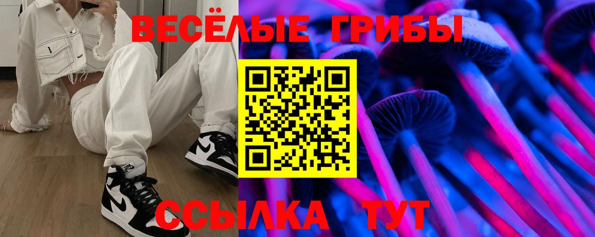Советская Гавань  Галлюциногенные грибы GOLDEN TEACHER  Вход с VPN 