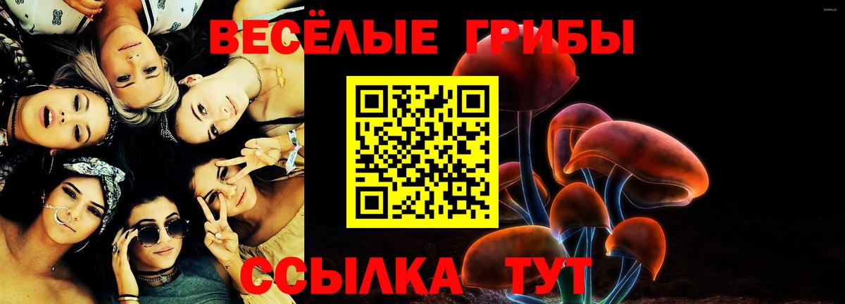 Псилоцибиновые грибы прущие грибы Советская Гавань